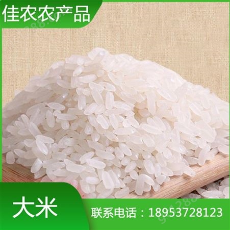 山东米厂加工批发珍珠米 圆粒大米 米厂直销 量大优惠