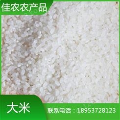 山东米厂加工批发珍珠米 圆粒大米 米厂直销 量大优惠