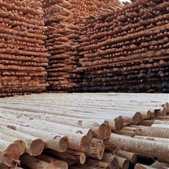 盛金源 供应 油木杆 8米  油炸杆 通信木杆 防腐木杆 生产范围：7米