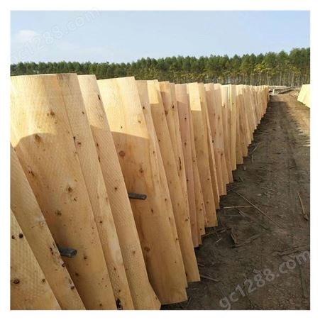 木材加工 优质精三无桉木单板 广西桉木旋皮厂电话 