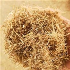 边坡草纤维 嵩杰草纤维 草纤维增加有机质 直销