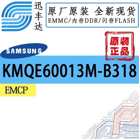 KMQE60013M-B318 EMCP 221FBGA SAMSUNG