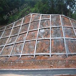 护坡固土施工简单蜂巢土工格室 框架梁护坡绿化土工格室 规格齐全