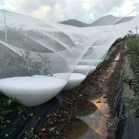 采摘园搭架 防雹网 果蔬园抵御冰雹灾害防护网