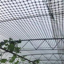 航瑞 大棚防兜水网 托膜网 适用于大跨度温室大棚放风口防鸟网