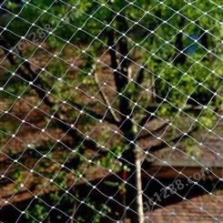 温室大棚尼龙网 植物果园防护网 绿色防鸟网 航瑞加工生产