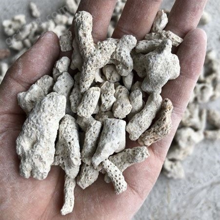 现货现发珊瑚砂  水族馆过滤材料珊瑚砂 珊瑚砂水族养殖