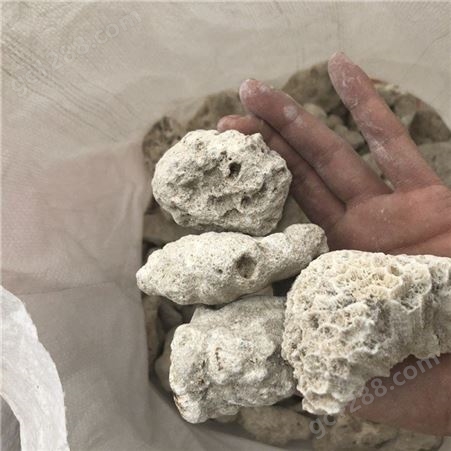 现货现发珊瑚砂  水族馆过滤材料珊瑚砂 珊瑚砂水族养殖