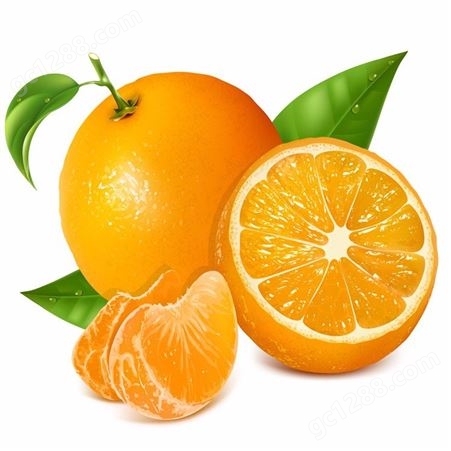 椰果罐头 橘子罐头 葡萄罐头 _规格齐全