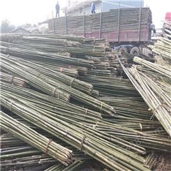 5米竹竿 5米农用竹竿 5米园林竹竿 