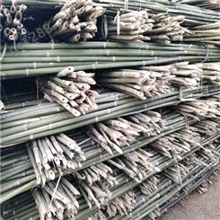 5米竹竿批发 5米白竹 园林标准竹竿自产自销 江西发货 量大从优