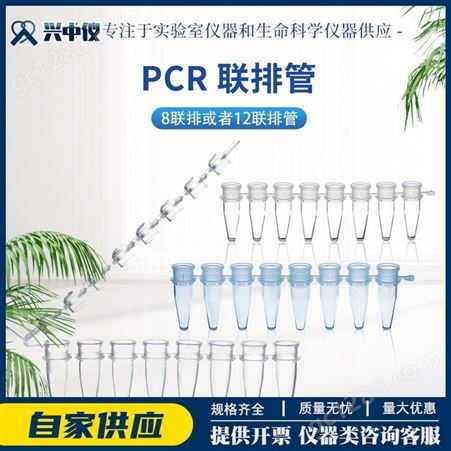 普兰德 PCR 单手开闭管盖 联排管 BIO-CERT PCR QUALITY 781280
