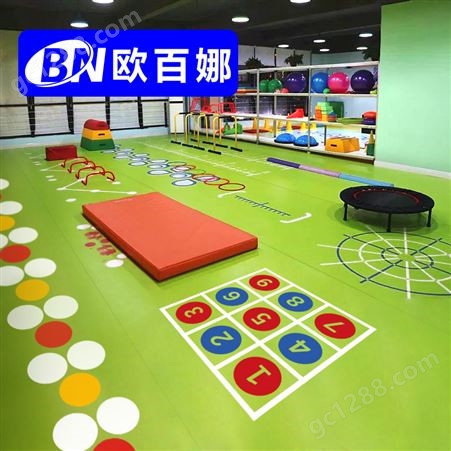 欧百娜健身房定制地胶室内私教健身地垫体适能训练个性运动地板