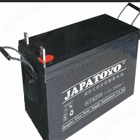 东洋6GFM100 6v100ah 放电电压平稳 胶体免维护蓄电池