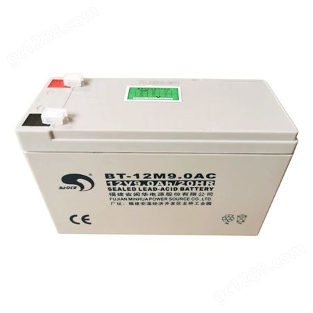赛特蓄电池BT-SHE-100-12 12v100ah直流屏不间断电源 质保三年