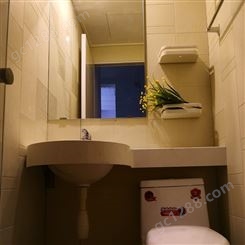 整体淋浴房 定制淋浴房 整体卫生间 一体式干湿分离浴室