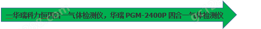 PGM-2400便携式气体检测仪