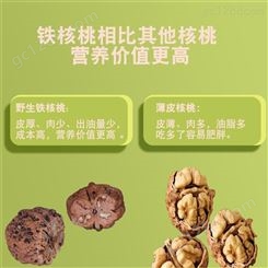 核桃油108ml 凤庆特产 山茶核桃食用油